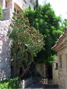 Eze_2009_6