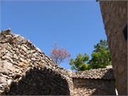 Eze_2009_8