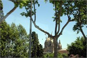 Barcelona_2009_2