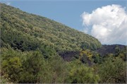Messina_2009_19