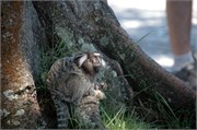 Rio_03232010-_ADSC_0051