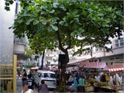Rio_03242010-2