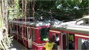 Rio_03242010-_IMG_1766