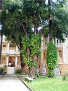 Salvador_03282010_P34