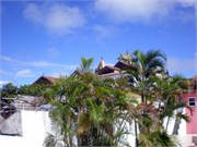 Salvador_03282010_P6