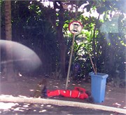 Maceio_03302010-IMG_1929