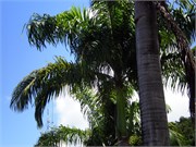Maceio_03302010-P3300052