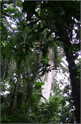 Belem_04042010-IMG_2081
