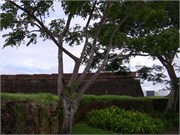 Macapa_04062010IMG_2148
