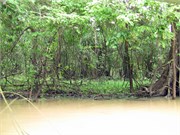 Manaus_04102010-IMG_2516