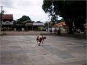 AlterDoChao_04132010-P4120108