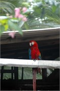04152010_DevilsIsland-DSC_1291