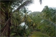 04152010_DevilsIsland-DSC_1298