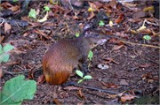04152010_DevilsIsland-DSC_1312