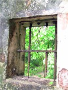 04152010_DevilsIsland-IMG_2560