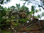 04152010_DevilsIsland-P415005213