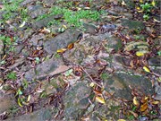 04152010_DevilsIsland-P415006122