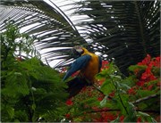 04152010_DevilsIsland-P4150147108