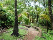 04152010_DevilsIsland-P4150164125