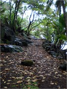 04152010_DevilsIsland-P4150169130