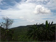 Barbados_04172010-24