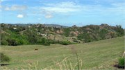 Barbados_04172010-32