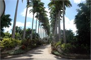 Barbados_04172010-DSC_1344
