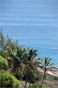 Barbados_04172010-DSC_1389
