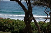 Barbados_04172010-DSC_1400