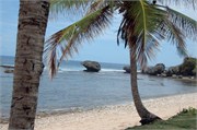 Barbados_04172010-DSC_1465