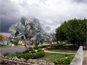 Barbados_04172010-P4170022