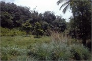 Dominica_04182010-DSC_1569