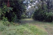 Dominica_04182010-DSC_1574