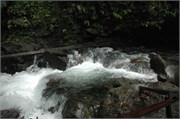 Dominica_04182010-DSC_1597