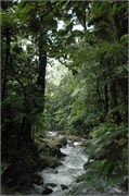 Dominica_04182010-DSC_1612