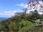 Dominica_04182010-IMG_2696