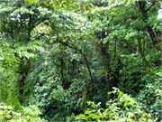 Dominica_04182010-P4180084