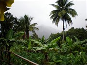 Dominica_04182010-P4180091