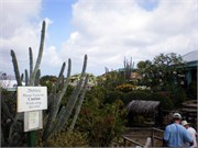 BVI_04172010-P13