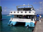 BVI_04172010-P6