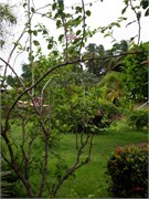 04152010_DevilsIsland-P415013697