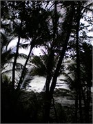 04152010_DevilsIsland-P4150168129