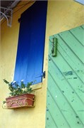 Dominica_04182010-DSC_1513