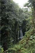 Dominica_04182010-DSC_1585