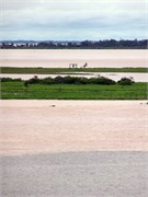 Santarem_04072010a-IMG_2188