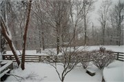 Trey_D50_DSC_0001