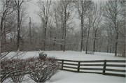 Trey_D50_DSC_0002