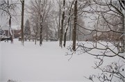 Trey_D50_DSC_0004