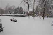 Trey_D50_DSC_0005