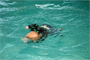 Trey_D50_DSC_0103